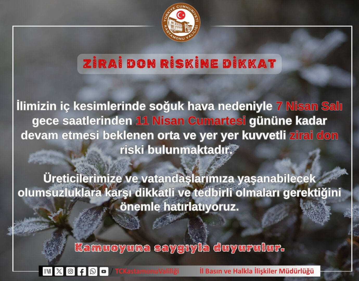 Whatsapp Image 2026 04 07 At 11.23.21