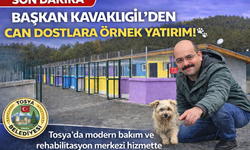 SORUN BİTTİ, ÇÖZÜM GELDİ: TOSYA’DA CAN DOSTLAR ARTIK EMİN ELLERDE!