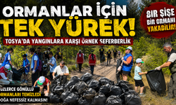 BİR ŞİŞE BİR ORMANI YAKABİLİR! TOSYA'DAN HAYAT KURTARAN MESAJ