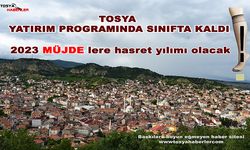 TOSYA 2023 YATIRIM PROGRAMINDA SINIFTA KALDI....