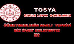MEB ÜLKE GENELİ (21604) KASTAMONU (113) TOSYA ( 0 ) ÖDÜL "TOSYA'NIN ÖĞRETMENLERİ BAŞARILI DEĞİLMİ"...!