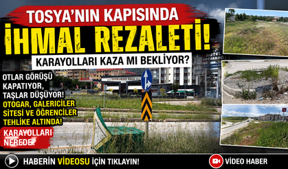 KARAYOLLARI'NIN GÖZDEN ÇIKARDIĞI KAVŞAKLAR  "TOSYA'YA HOŞ GELDİNİZ: OTLAR, ÇÖPLER VE İHMAL!"