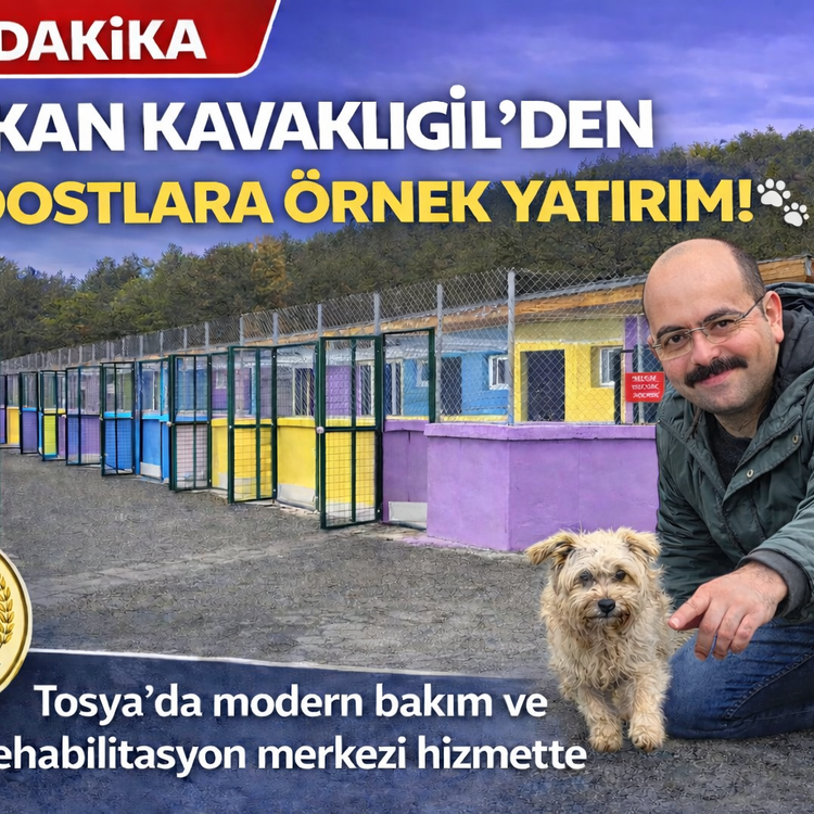 BAŞKAN KAVAKLIGİL’DEN CAN DOSTLARA ŞEFKAT ELİ!