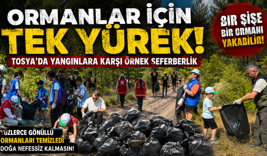 BİR ŞİŞE BİR ORMANI YAKABİLİR! TOSYA'DAN HAYAT KURTARAN MESAJ